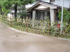 雨の散歩道　♪