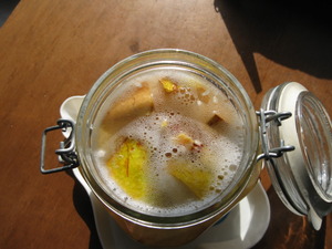 かりん酵母　2009