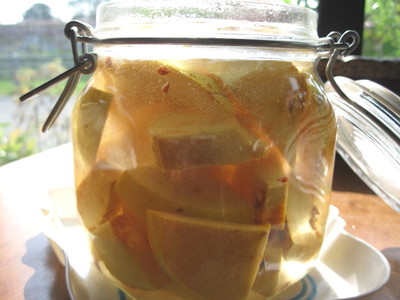 かりん酵母　2009