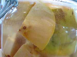 かりん酵母　2009