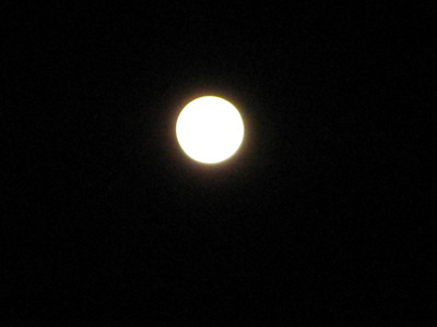 いい月夜です＾＾