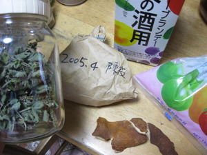 懲りない！　できごころ！