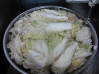 いただいた白菜で・・・