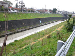 雨の　散歩・・・