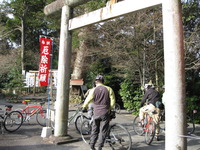 ３月朝のスローサイクリング