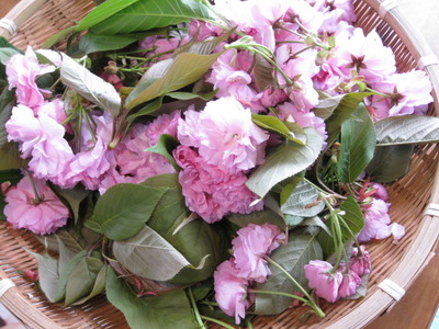 桜の花の塩漬け