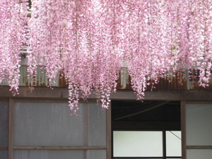 い～い香り～*