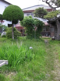 古株たち