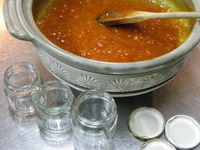 今年も　アンズjam