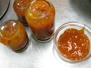 今年も　アンズjam