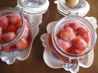 紅ほっぺ酵母　2011