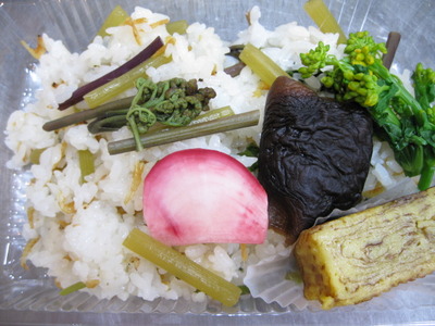 春のお弁当