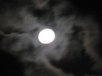 ありがとう！　ドイツビアー総集編♪