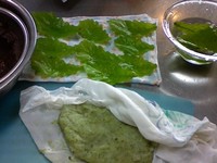 朝の庭から　変身！柏の木