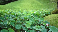 一先ず研修の合間みてブレイク♪ 2009/07/30 20:04:37