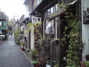 ほっとな「トンボロ」♪