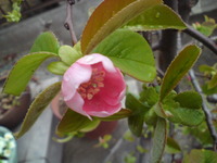 おはよう！ 2010/03/20 08:00:00