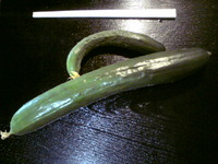 デカ過ぎです＋０＋☆ 2010/07/29 09:02:00