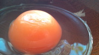 こんなんあるんやね！お客様からのオススメ品コーナー☆３２ 2011/02/02 19:31:52
