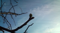 お知らせ　～息吹～ 2011/02/28 17:05:00