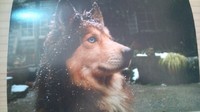 「寄付金ありがとう」の手紙が届きました☆ 2011/05/12 00:50:13
