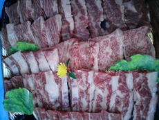 暗闇？ＢＢＱ…；