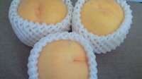 お客様たちからの美味しい差し入れ♪ 2009/08/30 21:21:21