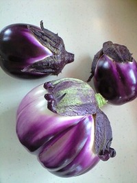 イタリアの丸なす