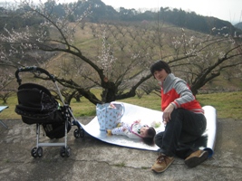 豊岡梅園