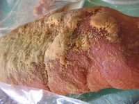 きな粉パン