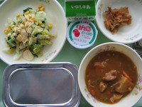 チキンカレー