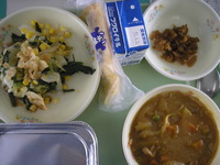チキンカレー