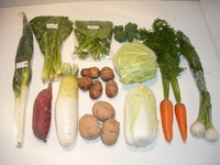 旬の野菜を食べよう！