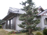 しめ飾り