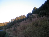 ウサギが住まう里山