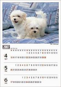 フィラリア症予防カレンダー2007年4月～