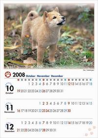 犬のカレンダー