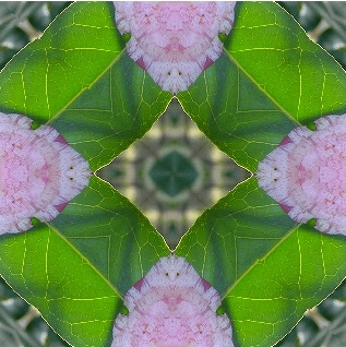 ペイントで作った万華鏡