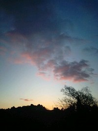 2009/1/13☆日の出♪ 2009/01/17 16:31:16