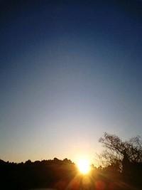 2009/1/14☆みんな凍えてる。 2009/01/17 16:47:06