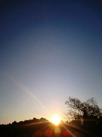 良く似た日の出☆1/15＆1/16 2009/01/17 16:52:11