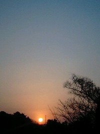 春のような日の出☆1/19/7:15am-7:23am!! 2009/01/19 12:41:16