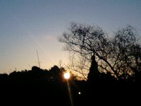 梅に鶯☆日本の春♪ 2009/02/02 11:29:32