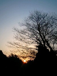 2009/2/8☆日の出♪ 2009/02/17 06:47:24