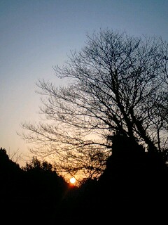 2009/2/8☆日の出♪
