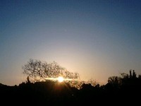 2009/2/12☆日の出☆2/14☆雨上がりのパンジー♪ 2009/02/17 07:04:56