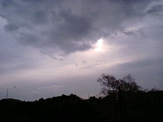 2009/2/16☆風がふく♪