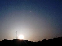 桜、さくら、サクラ、sakuraの春時間♪ 2009/03/23 07:17:33