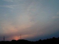 今日の日の出☆自宅お花見♪ 2009/03/29 10:17:15