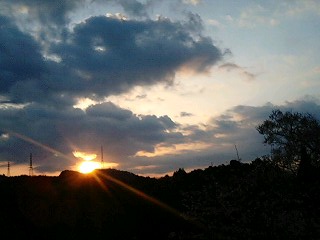 2009/3/30☆日の出＆桜